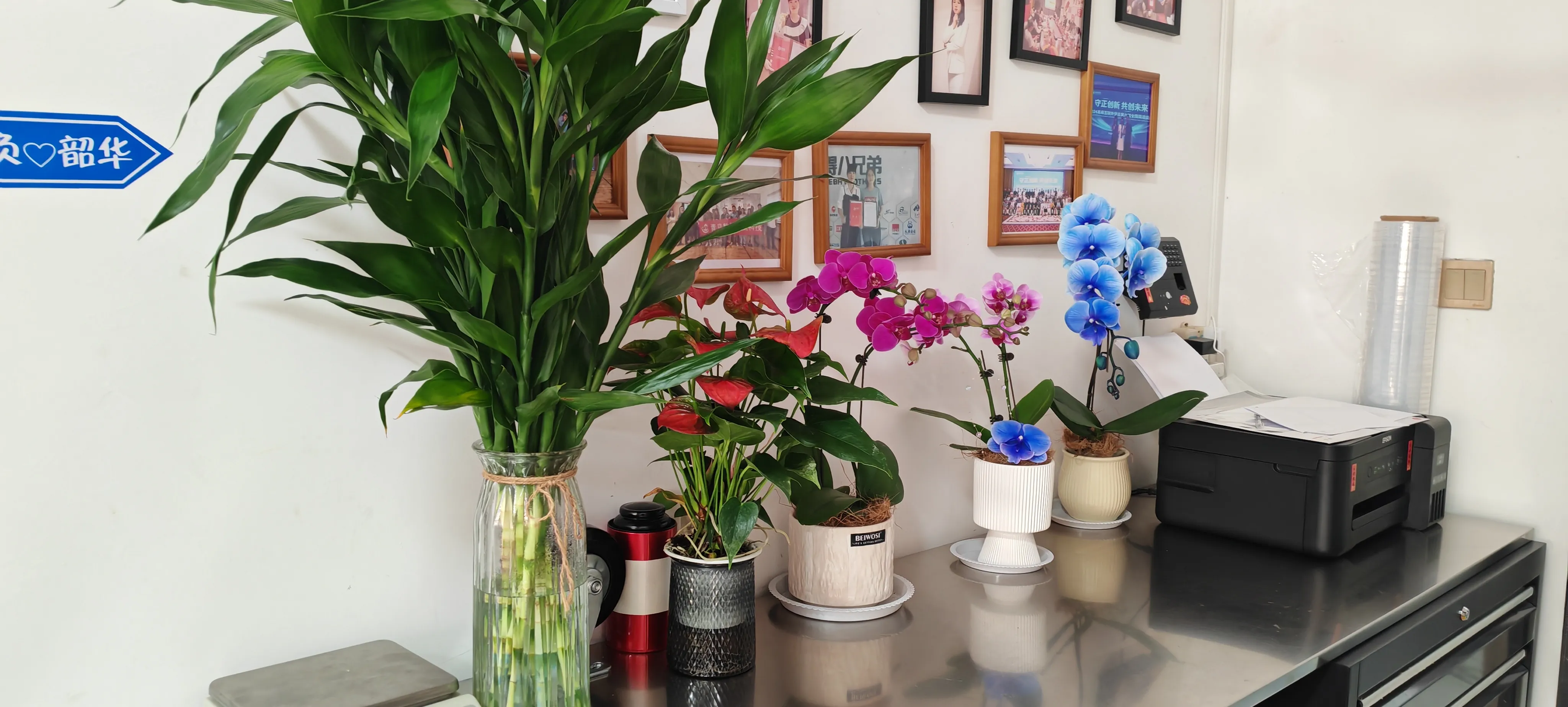 Welkom JOJO Pack's nieuwe vrienden!