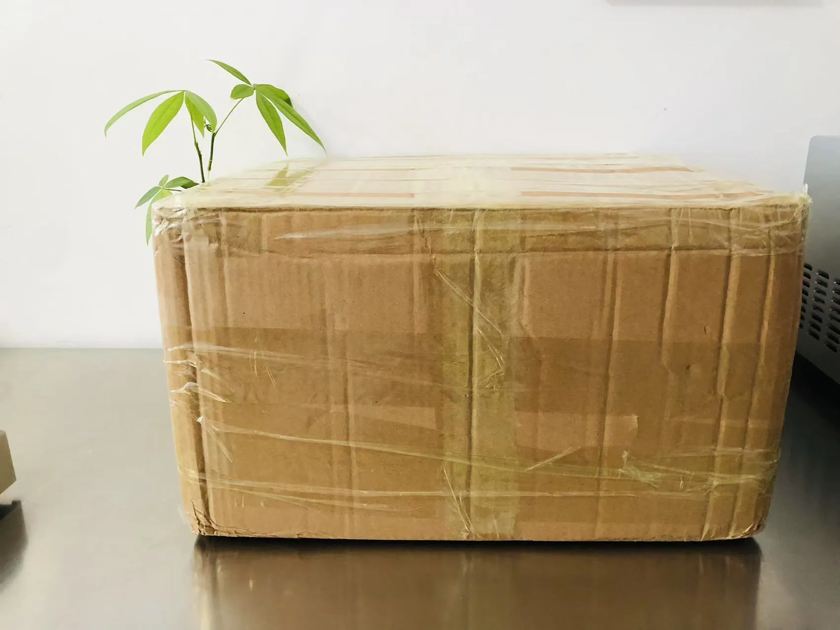 Cartoon stevige epoxystickers nu onderweg naar Japan